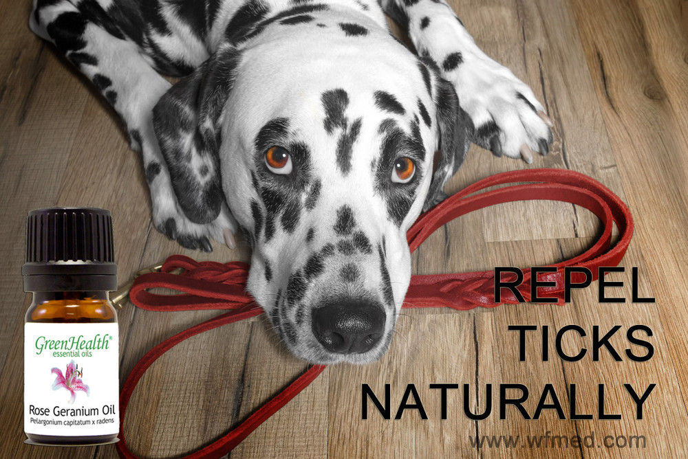 Repel Ticks Naturally