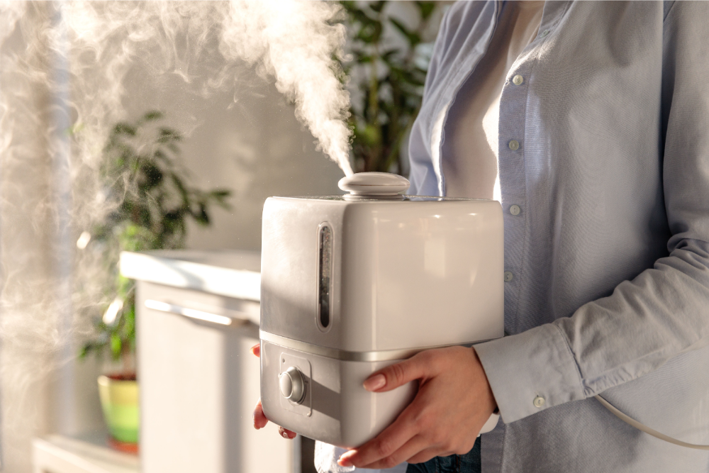 5 Reasons Why You Need a Humidifier this Year