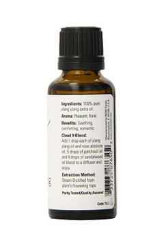 Ylang Ylang Extra Oil - 1 fl oz