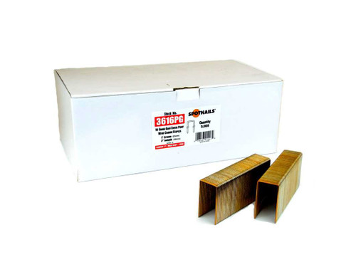 SpotNails 3605PG-10M 5/8-Inch Galv 16 Ga 1-Inch Crown Wide Crown Staples 10M