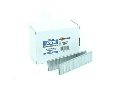 SpotNails 37516 1-Inch Galv 19 Ga Chisel 3/16-Inch Crown Fine Wire Staples 50M