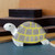 Holztiger Tortoise