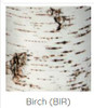 Playscapes Woodsmen Naturescape Mini Tree Trunk, close-up of birch tree trunk with distinctive white bark and dark horizontal markings.