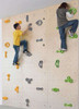 Large Climbing Wall sold separately 1