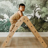 Toddler Climbing on Classic Rainbow Climbing Triangle