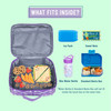 Wishbone Kids Lunch Box 4