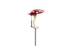 Musical Mushrooms