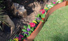 Frame It All Classic Sienna 4ft Curved Composite Board 2" Profile, a garden landscape with colorful flowers and a curved garden border.