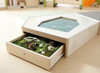 HABA Pro Grow.upp Display Case Play Platform "A", a wooden play platform with a built-in glass window and a flowerbed with plants and decorations. HABA Pro Grow.upp Display Case Play Platform "A", a wooden play platform with a built-in glass window and a flowerbed with plants and decorations.