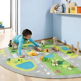 Street & Map Rugs