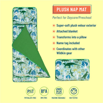 Dinomite Dinosaurs Plush Nap Mat 1