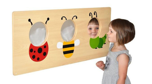 Fun Wall Mirror Reflections Bugs