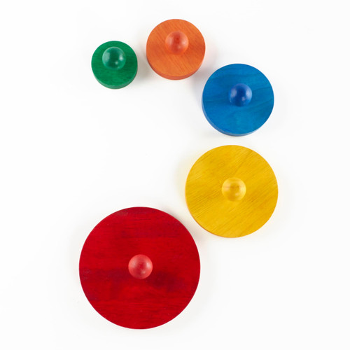 Circle Sorter Manipulative Puzzle 1