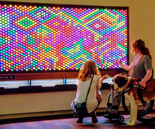 LiteZilla Giant Lite Brite - 8' x 5' showcasing a large colorful light display with two women and a dog observing and interacting with it.