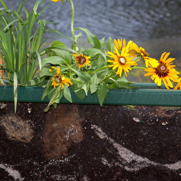 Playmore Designs Root View Planter, green rectangular plant container with yellow flowers and green plants growing in soil.