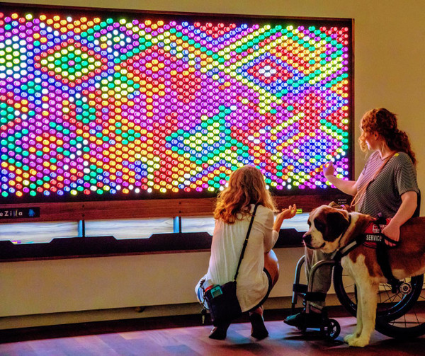 LiteZilla Giant Lite Brite - 8' x 5' showcasing a large colorful light display with two women and a dog observing and interacting with it.