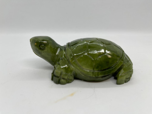 Green jade turtle . Selection may vary, website is not updated daily!!!