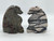Assorted material flying dragon . Selection may vary, website is not updated daily!!!