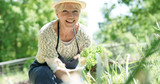 Nutrients that Support Aging Gracefully