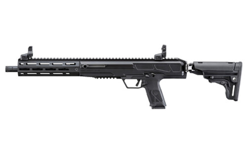 Ruger LC Carbine 45 ACP