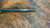 American Arms Inc Brittany SXS in 12 Gauge - USED