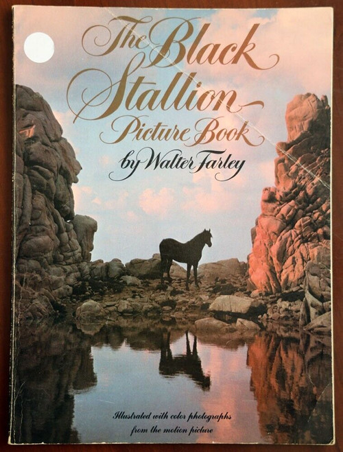 The Black Stallion Picture Book by Walter Farley Illustrated from Motion Picture