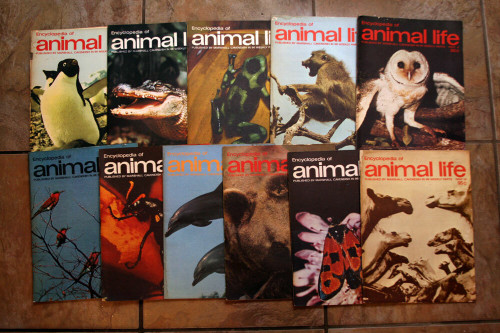 Encyclopedia of Animal Life 1973-1974 Marshall Cavendish Part 1-13