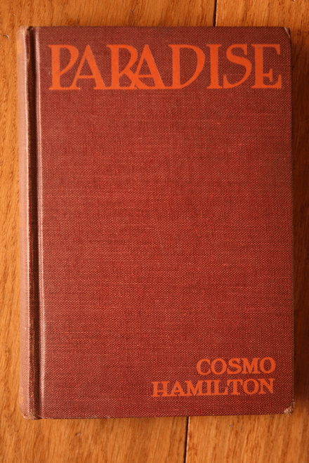 PARADISE by Cosmo Hamilton 1925 PHOTOPLAY EDITION Illustrated Silent Film