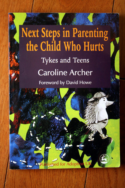 Next Steps in Parenting the Child Who Hurts by Caroline Archer 1999 Tykes, Teens