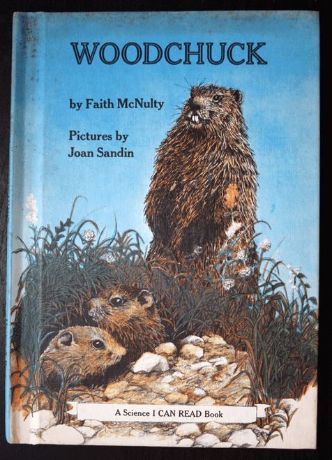 WOODCHUCK by Faith McNulty & Joan Sandin 1974 "I Can Read" Vintage Children's
