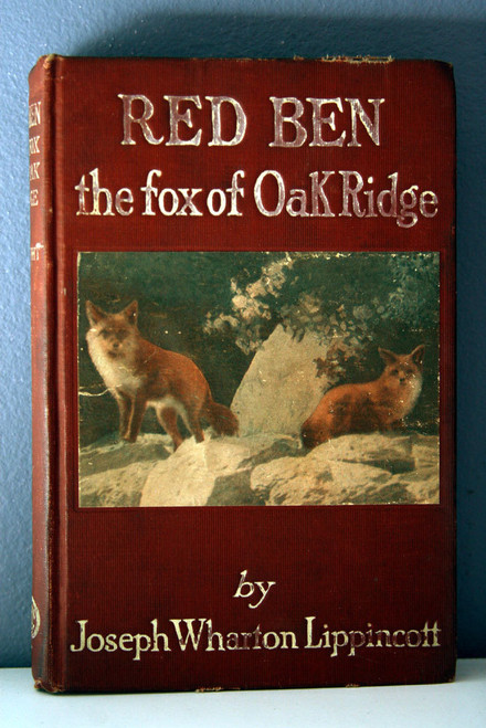 RED BEN the Fox of Oak Ridge by Joseph Wharton Lippincott 1919 Illustrated