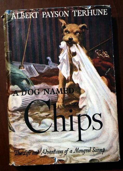 A Dog Named Chips by Albert Payson Terhune 1931 HC/DJ Vintage Children's Book