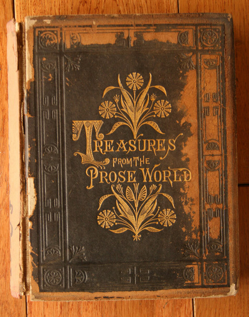 Treasures from the Prose World 1883 Prof. Frank McAlpine Illustrated Leather