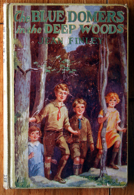 Blue Domers in the Deep Woods by Jean Finley 1928 A.L. Burt Vintage Hardcover