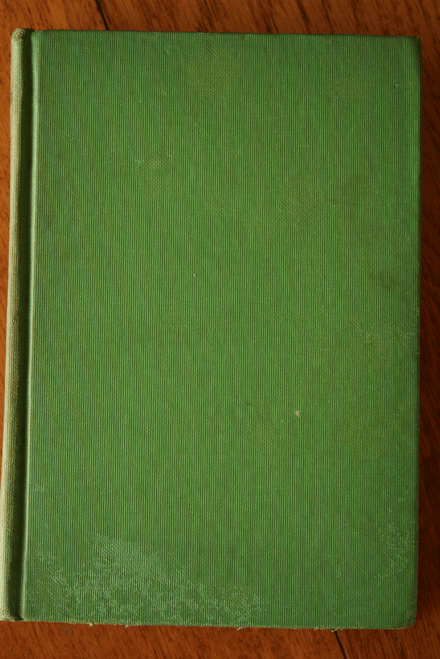 The Widow O' Callaghan's Boys by Gulielma Zollinger 1926 Scarce Vintage Book