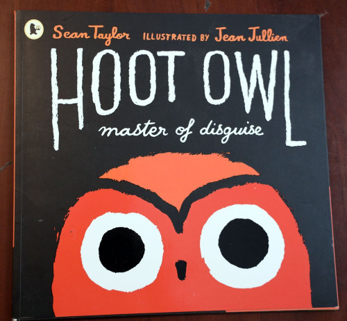 HOOT OWL Master of Disguise by Sean Taylor/Jean Jullien 2016 Paperback UK Print