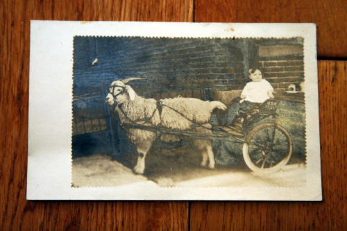 RPPC Goat Pulling Carriage with Baby U.S.A. 1921 Real Photo Postcard Unused