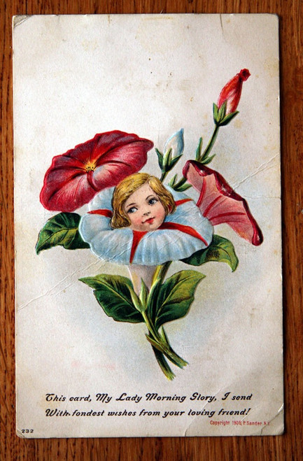 P. Sander Postcard Anthropomorphic Flowers Series 232 c. 1908 Lady Morning Story
