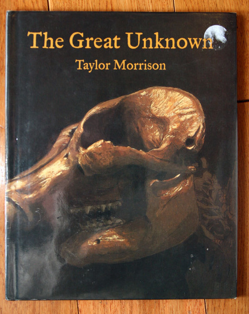 THE GREAT UNKNOWN by Taylor Morrison 2001 HC/DJ Art Children's