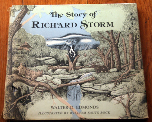The Story of RICHARD STORM by Walter D. Edmonds 1974 First Edition HC/DJ RARE