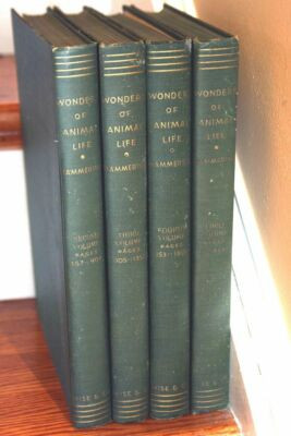 Wonders of Animal Life J.A. Hammerton 4-Vol Book Set Illustrated Natural History