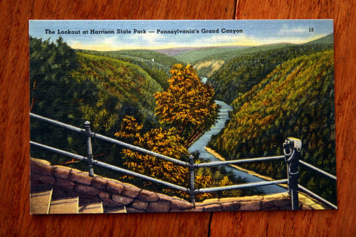 Lookout Harrison State Park - Pennsylvania's Grand Canyon Vintage Linen Postcard
