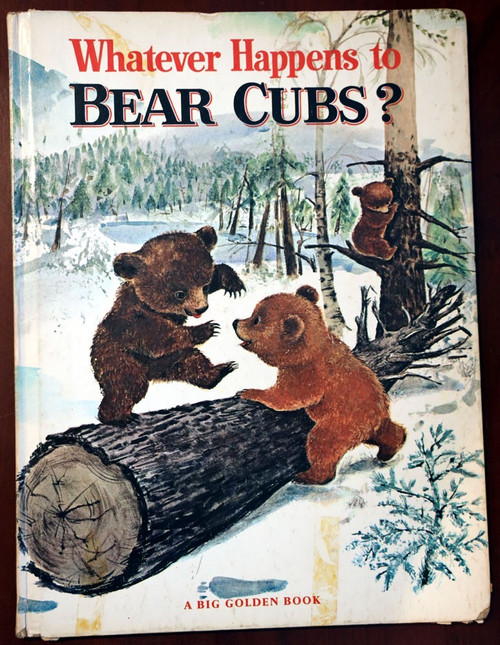 Whatever Happens to BEAR CUBS? 1968 Big Golden Book - Bill Hall/Virginia Parsons