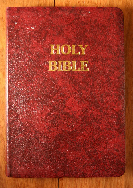 HOLY BIBLE New American Catholic 1991-1992 Fireside Study Edition NAB Maroon