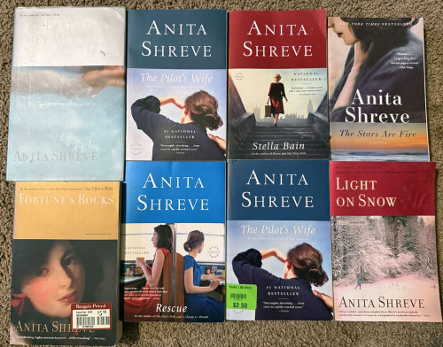 Lot of 9 ANITA SHREVE Books Hardcover & Paperback Light on Snow, Pilot's Wife ++
