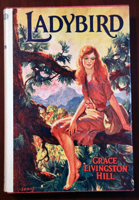 LADYBIRD by Grace Livingston Hill 1930 HC/DJ Vintage Novel EXCELLENT CONDITION