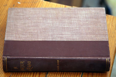 A Sister to Esau by Amelia E. Barr 1891 RARE Antique Hardcover Book Hunt & Eaton