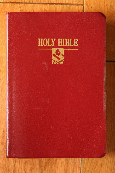 HOLY BIBLE NRSV Red Leatherette RS41BG World Publishing 1997 Faux Leather
