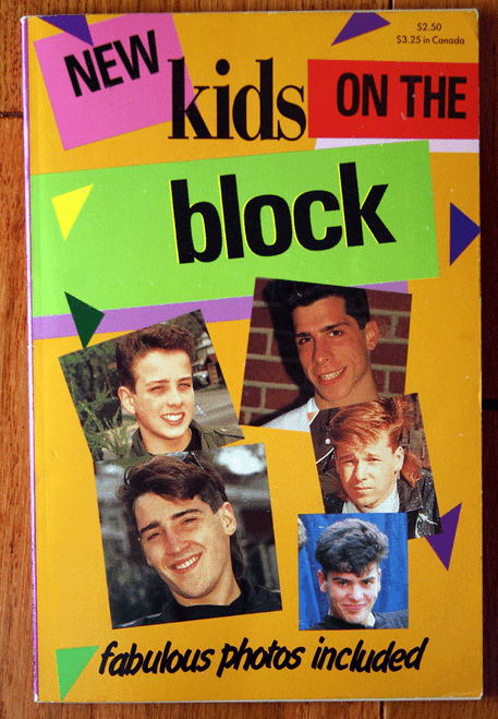 New Kids on the Block by Anne M. Raso 1989 Vintage Paperback ILLUSTRATED PHOTOS