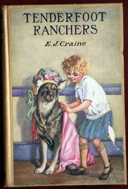 TENDERFOOT RANCHERS by E.J. Craine 1929 Points West Series A.L. Burt RARE